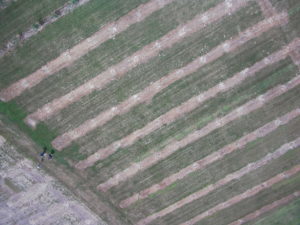Aerial image of crop lines in field