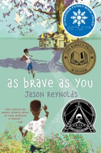Cover image of As Brave As You by Jason Reynolds