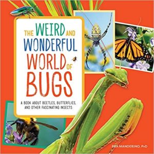 Cover image of the book The Weird and Wonderful World of Bugs