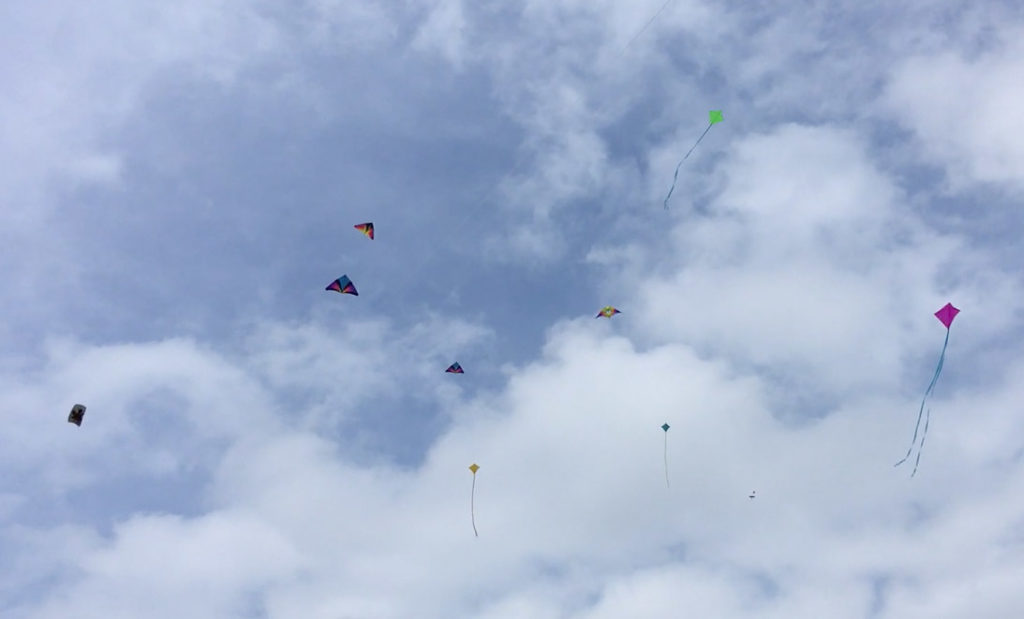 Several kites flying in the sky at once