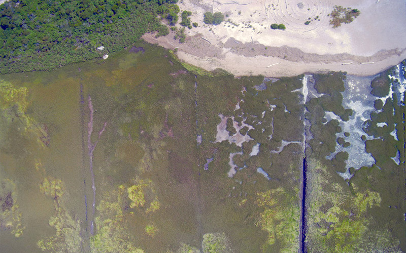 Aerial view of salt marsh and beach