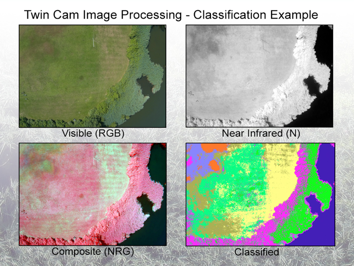 4 images showing the process of image classification. Visible image, near infrared image, composite of bands of visible and near infrared, and classification image from MultiSpec.