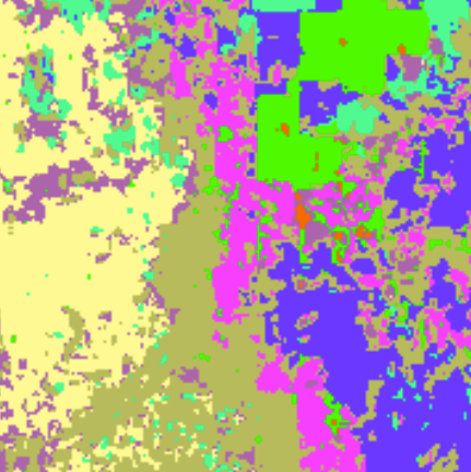 vegetation aerial image that had been processed in image classification software. different vegetation types are different colors