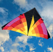 9 foot Delta kite flying in the sky