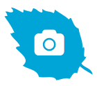 Icon for Infragram software depicting a blue leaf with a with a white camera overtop