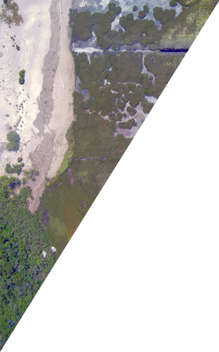 Aerial view of salt marsh and beach