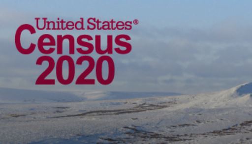 Image of the United States Census 2020 logo