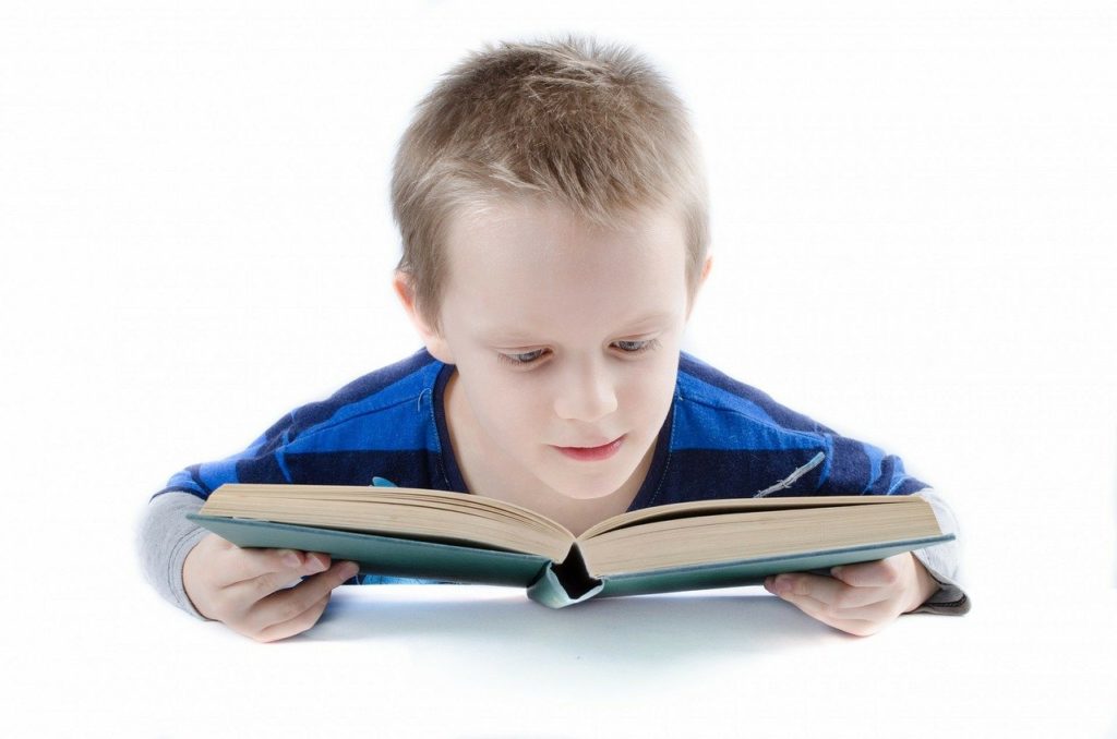 Image of a young boy reading a book.