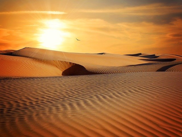 Image of a desert