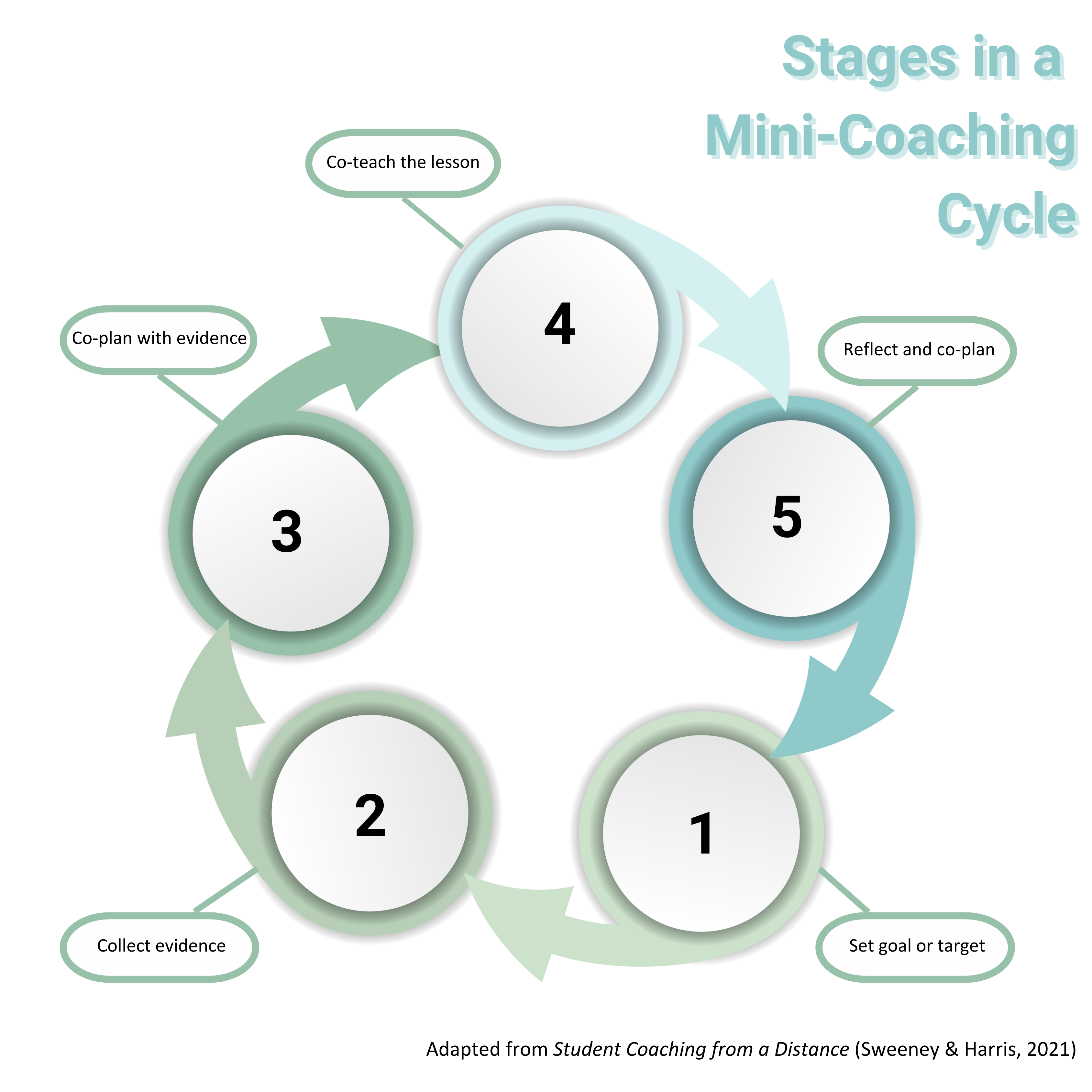 Stages of a Mini-Coaching Cycle image; adapted from Sweeney and Harris, 2021